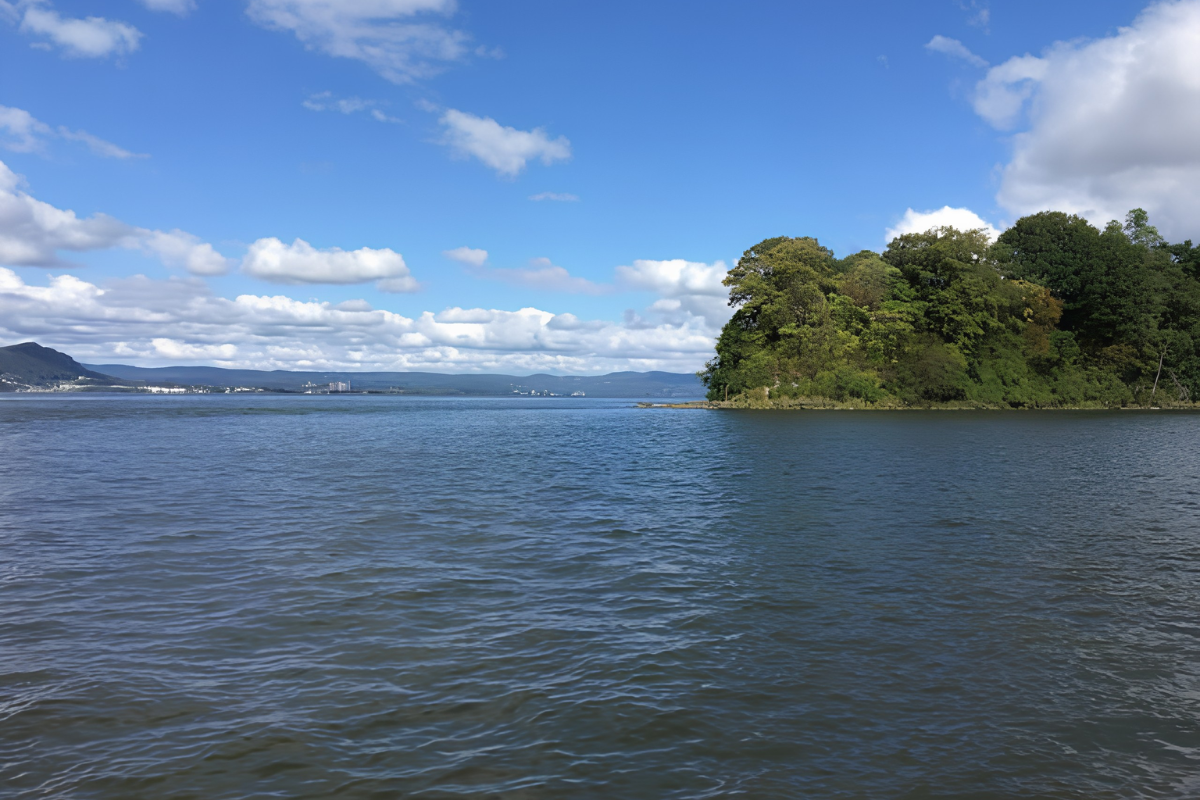 Lake Restoration & Rejuvenation Work